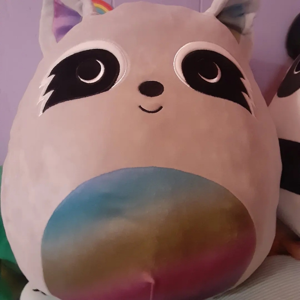 Squishmallow Raccoon - Picture 1 of 2